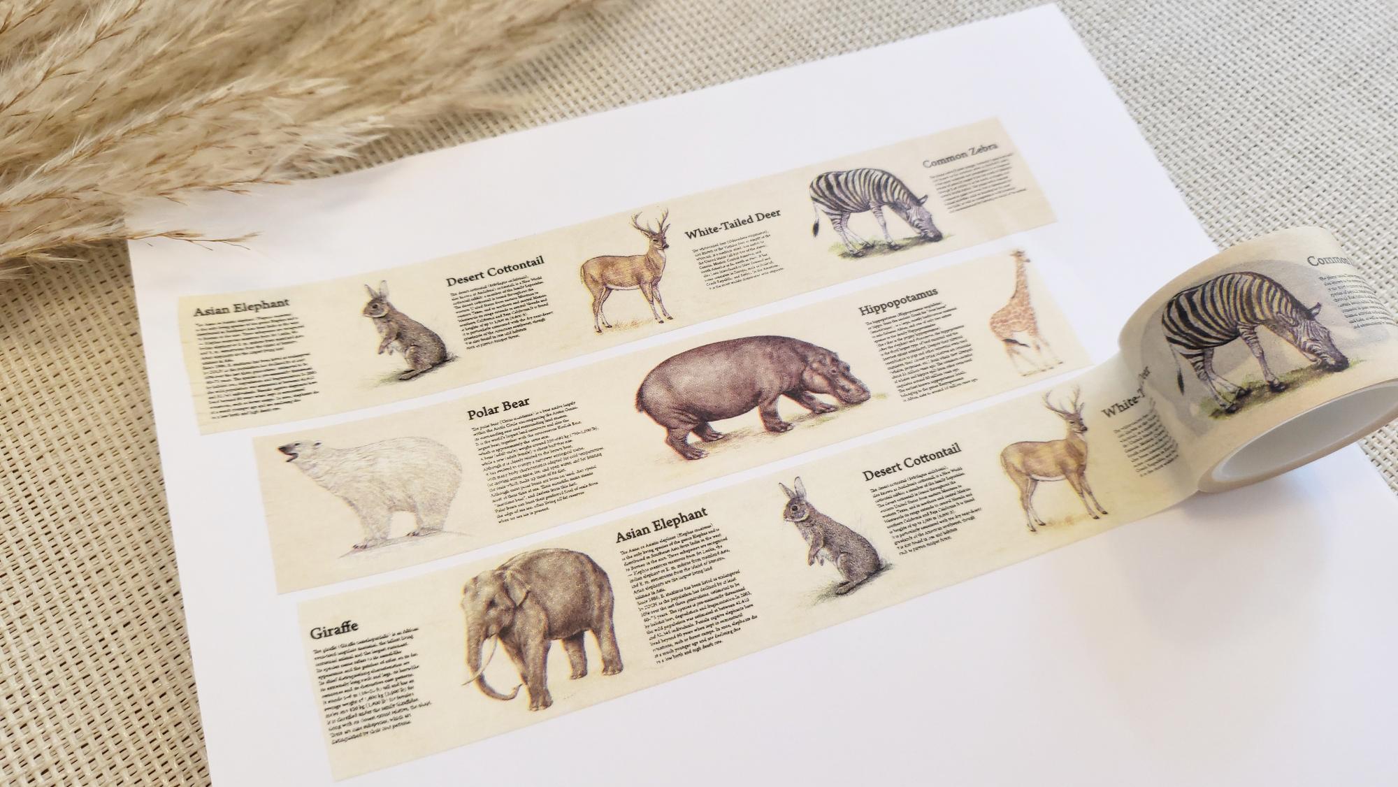 Design Washi Tape Encyclopaedia